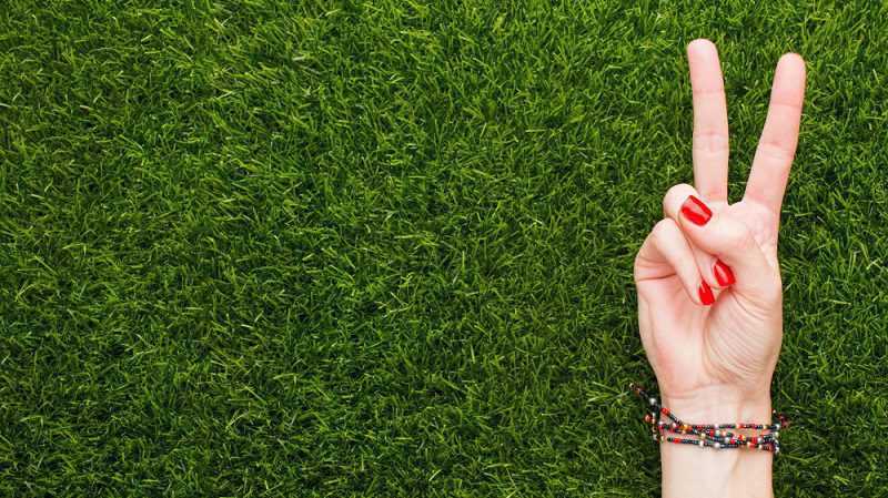 Synthetic Turf