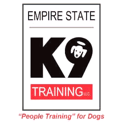 pet training Newtown