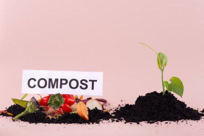 Compost Accelerator
