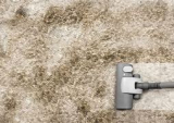 Why You Can’t Skip Profеssional Carpеt Clеaning Sеrvicеs