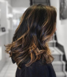 Discover the Best Salons in New Haven, CT: Your Guide to Beauty and Style