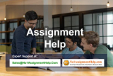 Assignment Help to get higher Academic grades