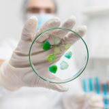 Nematode Management Made Easy: Selecting the Best Nematicide