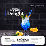 Exotica Indian Kitchen and Bar – The Best Bar in Charlotte & The Pinnacle of Culinary Excellence