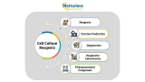 Cellular Alchemy: Unveiling the Transformative Landscape of Cell Culture Reagents Market