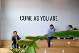 8 Benefits of Installing Wall Murals in Your Edmonton Business