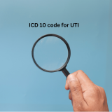 Understanding Urinary Tract Infections: Symptoms, Treatment, and ICD 10 Codes