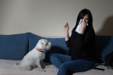 Unveiling the Top 10 Most Common Dog Diseases: A Comprehensive Guide