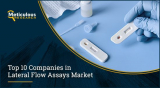 Key Players in the Lateral Flow Assays Industry