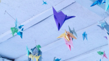 How To Make Transformation Paper Toys At Home