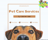 How to Deal with Common Pet Behavior Problems and When to Seek Professional Help