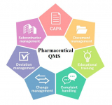 Driving Quality in Pharma: A Comprehensive Analysis of the Quality Management Systems Market
