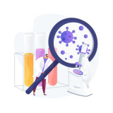 Zinc Envoys: The Role of Bacteria in Optimizing Zinc Availability for Plants