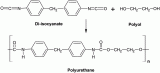 Driving Forces: Exploring the Polyurethane Catalyst Market Dynamics