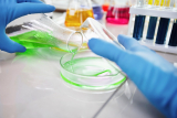 Why Protein A Chromatography Resin Remains Essential?