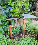 The Art of Bonsai: Cultivating Tranquility with Japanese Garden Tools