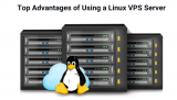 Top Advantages of Using a Linux VPS Server