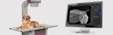 Veterinary Imaging Market Size, Share, Industry Growth, Trends Analysis 2023-2028