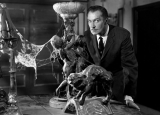 Top 5 Free Horror Roku Channels for Grown-Ups This Halloween