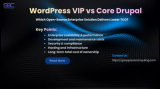 WordPress VIP vs Core Drupal: Which Open-Source Enterprise Solution Delivers Lower TCO