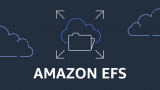 Learn how to use AWS EFS cloud storage to sort out your one of the problems.