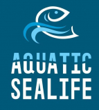 Aquariums are now available in many sizes and shapes!