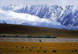 Explore The Beauty Of Tibet With Tibet Train Tour