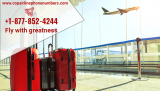 Copa Airlines Cancellation Policy 24 Hours