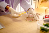 Unlock Accurate Results with Comprehensive Protein Analysis Solutions for Your Research