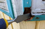 Answering Some Frequently Asked Questions About Dry Rot!