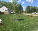 Tick, Termite, and Mosquito Spraying