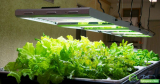 Sunnypower New Energy Co., Ltd Offers the Best LED Grow Lights