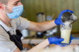How Accurate Is Milk Testing Laboratory Analysis Today?