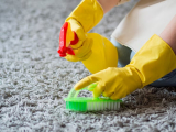 How Can Carpet Cleaning Corte Madera CA Protect Commercial Carpets?