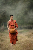 Navigating the Digital Dharma – Exploring Online Pirivena Education