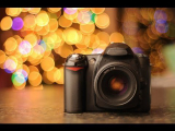 Understanding Wildlife Photography Gear