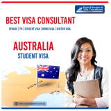 How to Choose the Best Overseas Education Visa Consultant in Chandigarh?