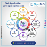 The Role of Application Developers and App Development Services